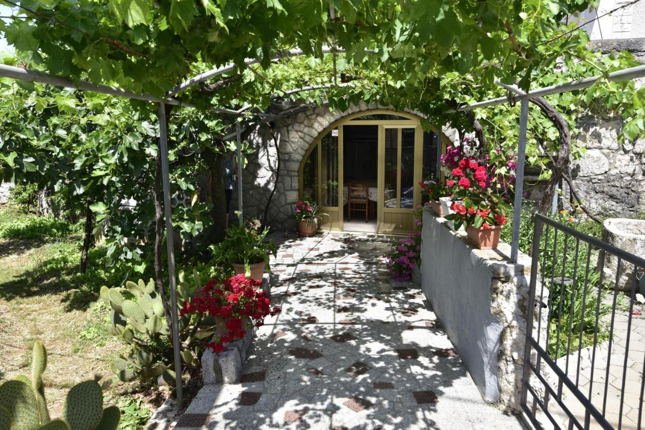 Guest House Tom Малинска Экстерьер фото